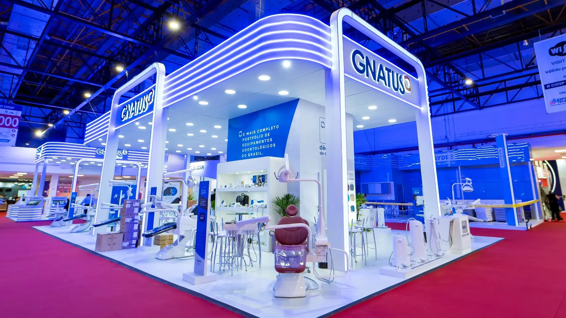 Gnatus