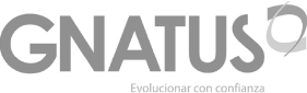 gnatus